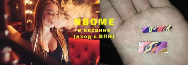 прущие грибы Абинск