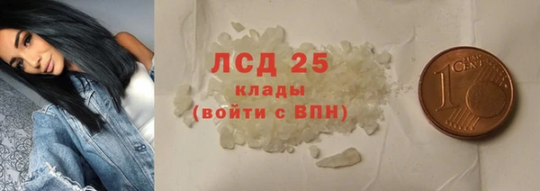 прущие грибы Абинск