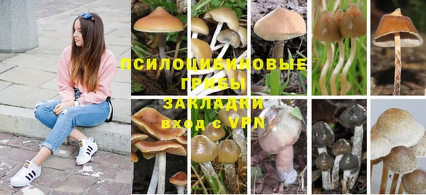 СК Абдулино