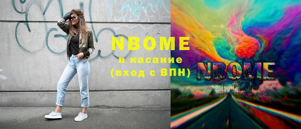 прущие грибы Абинск