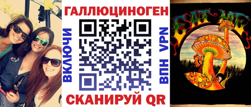 Псилоцибиновые грибы Psilocybe  Норильск 